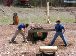 Forestry Expo