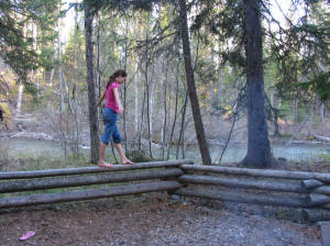 M balance beam at campsite