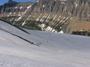 Hidden Lake Trail, Logan Pass, Glacier National Park