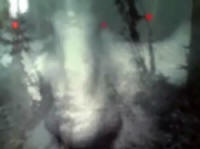 Ghostly Face from Haunted Alaska