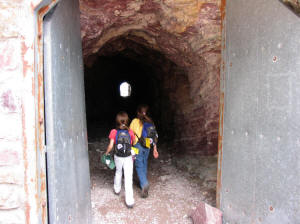 Ptarmigan Tunnel
