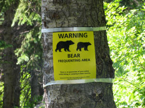 Bear Warning Sign