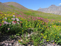 Glacier National Park