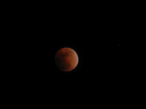 Lunar Eclipse 2008