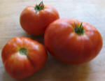 Tomatoes from our garden